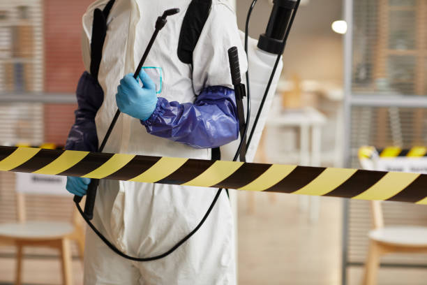 Professional Odor Removal technician working in Lynchburg, OH